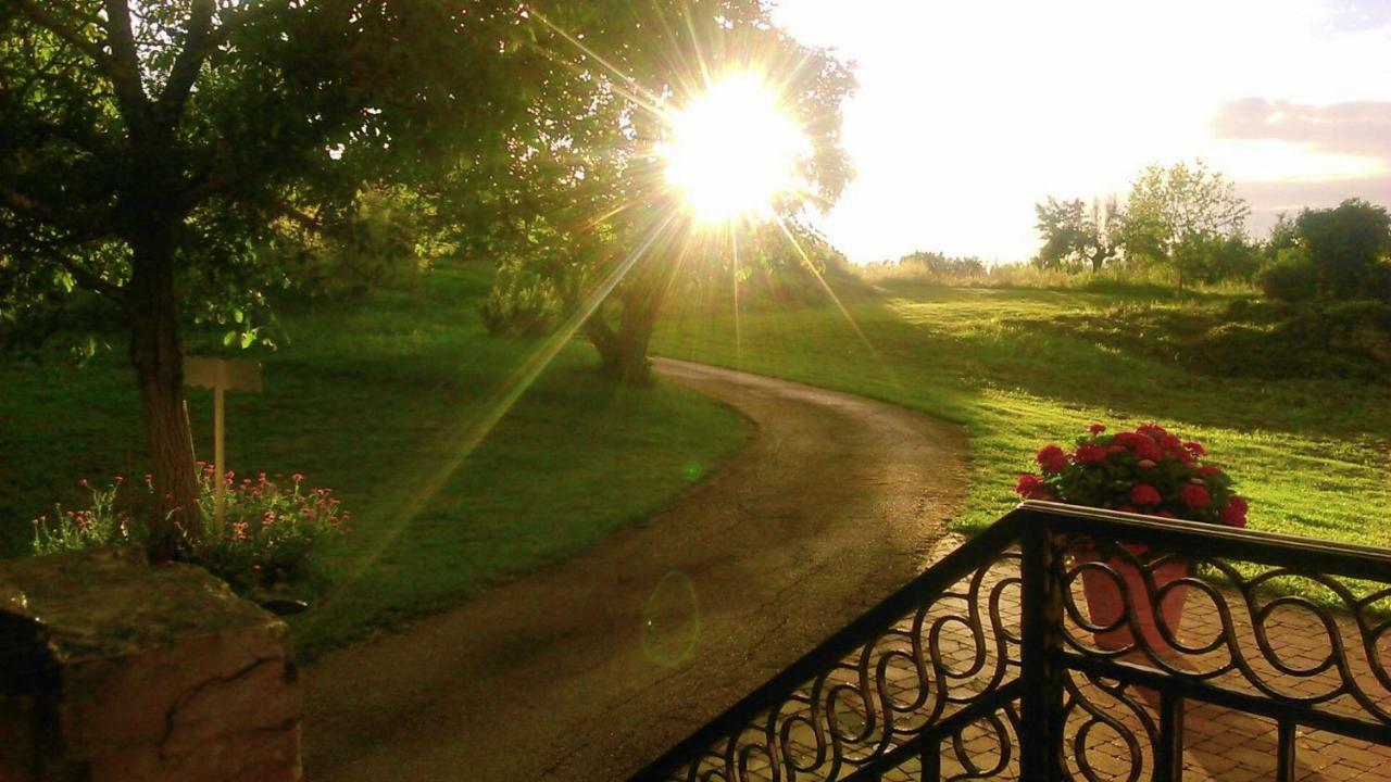 Villa Angela E Giovanni Vižinada Buitenkant foto